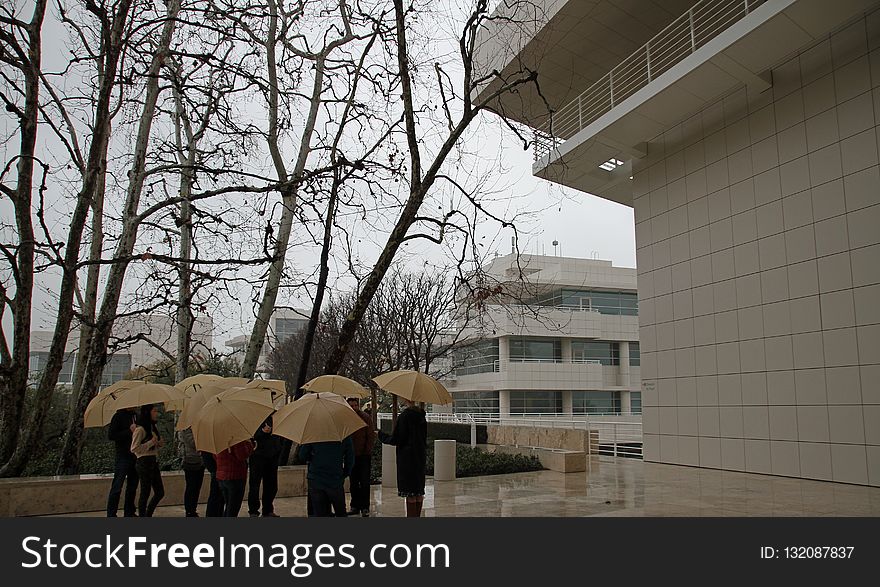 Tree, Architecture, Tourist Attraction, Building