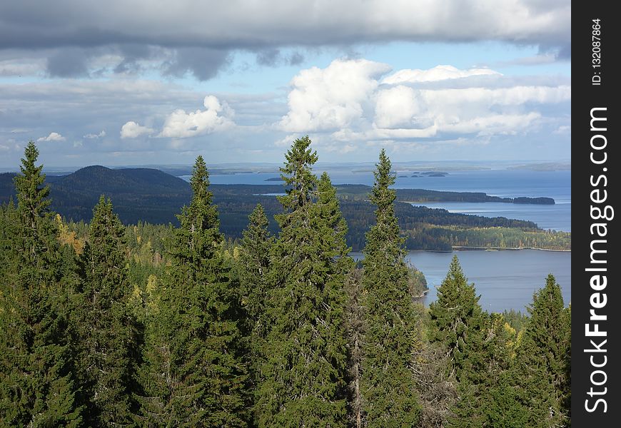 Ecosystem, Wilderness, Cloud, Vegetation