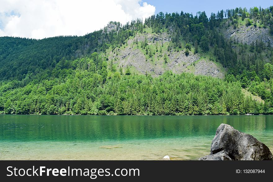 Nature, Nature Reserve, Water, Lake