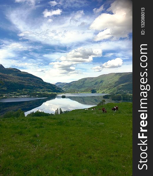 Highland, Loch, Nature, Sky