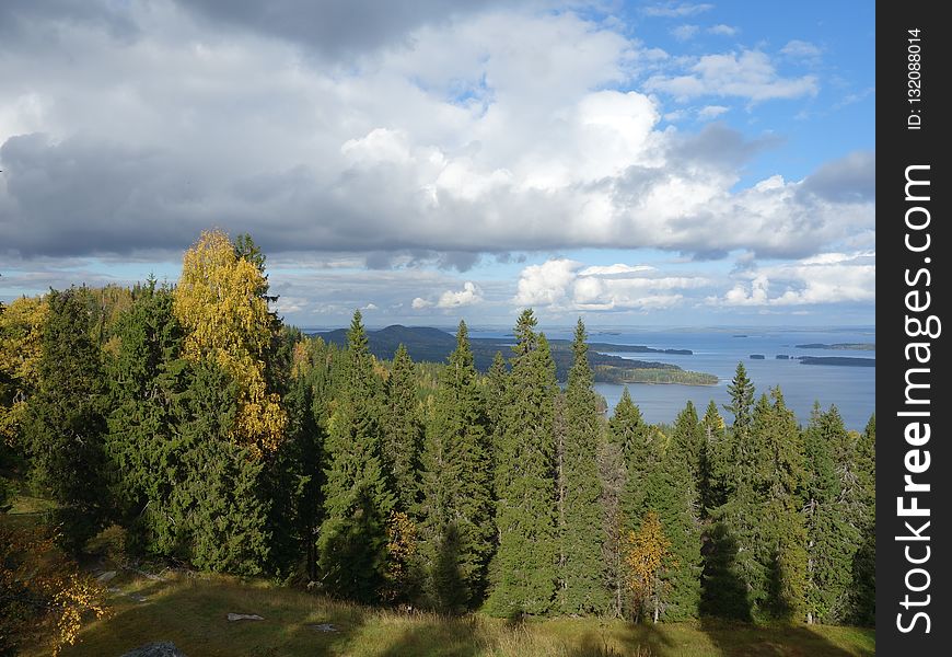 Cloud, Ecosystem, Sky, Wilderness