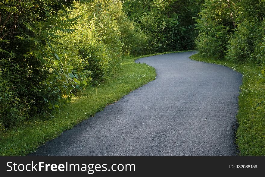 Road, Asphalt, Path, Vegetation