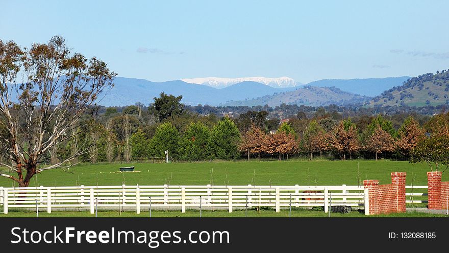 Pasture, Grassland, Fence, Farm