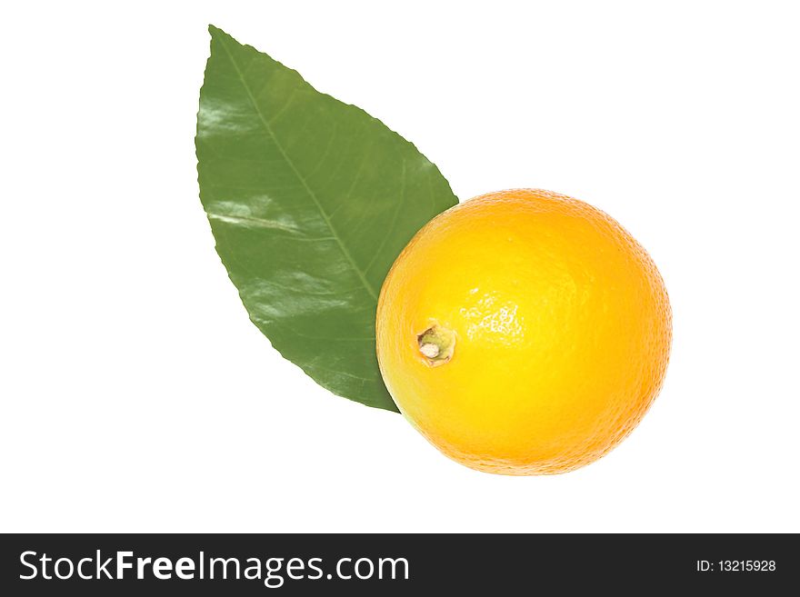 Ripe lemon with green leave isolate on a white