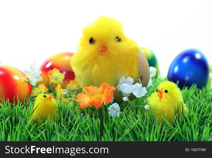 Easter chicks on a flower meadow