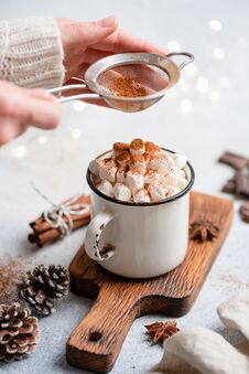 Hot Chocolate With Marshmallows In Mug Stock Image