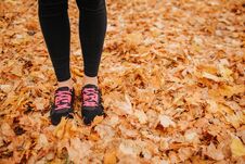 Cut View Of Young Woman`s Legs On Autumn Leaves. She Has Black With Pink Crosses And Black Pants. Woman Is Alone. She In Stock Images Cut View Of Young Woman`s Legs On Autumn Leaves. She Has Black With Pink Crosses And Black Pants. Woman Is Alone. She In Stock Images