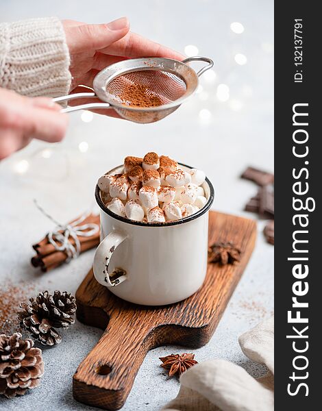 Hot chocolate with marshmallows in mug