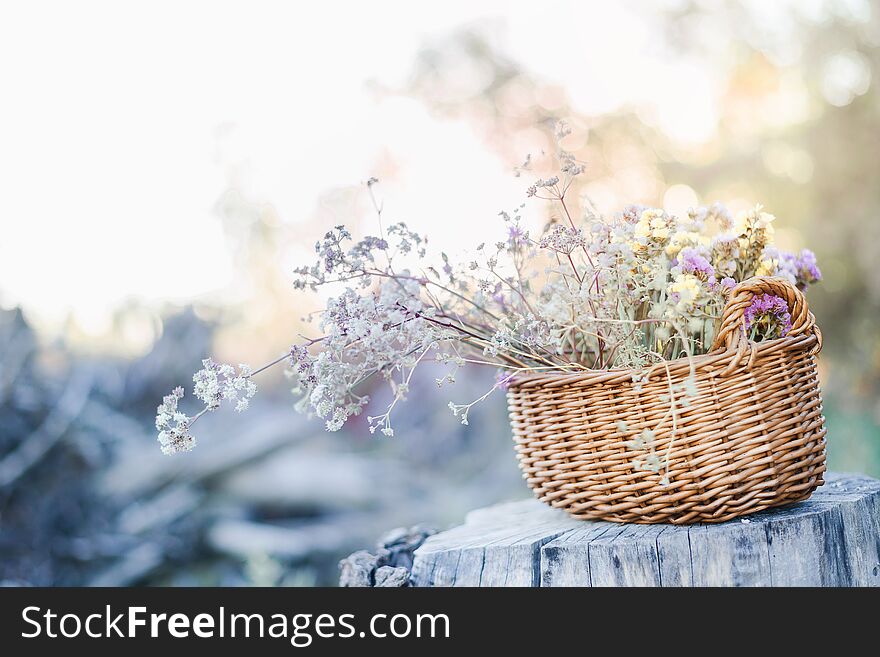 Basket with colorful field flowers on old tree stump in the forest