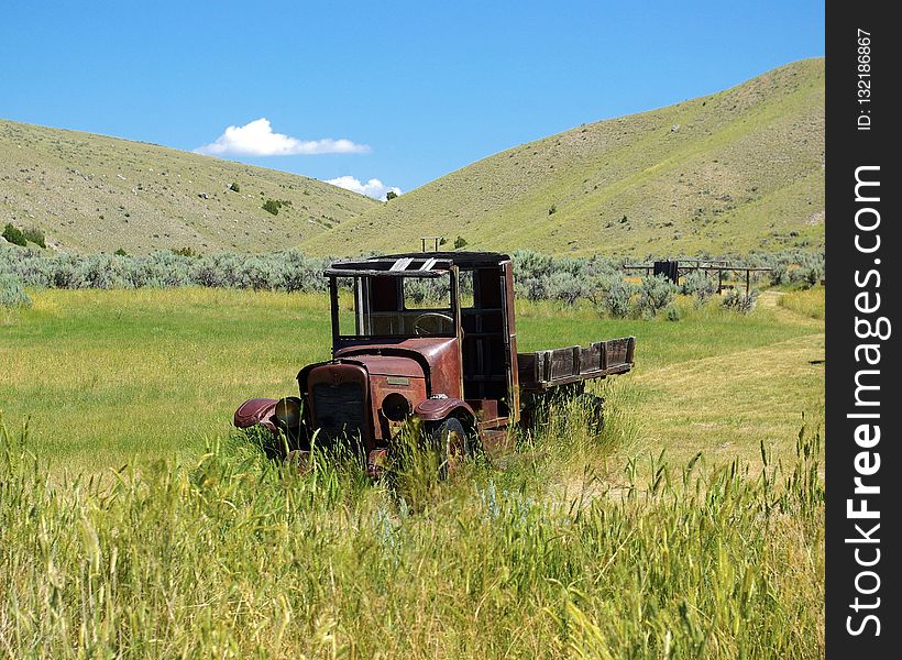 Grassland, Ecosystem, Field, Agriculture