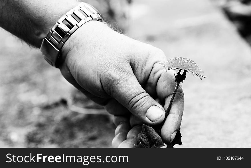 Hand, Black And White, Finger, Monochrome Photography