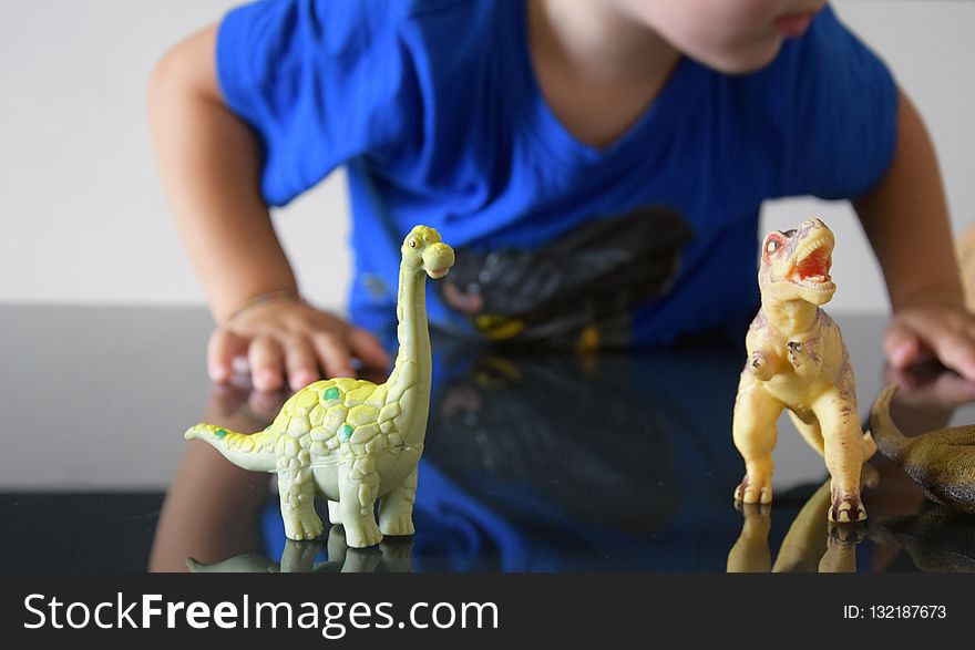 Dinosaur, Play, Arm, Hand