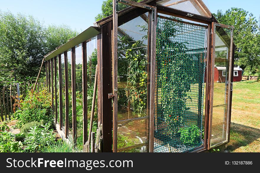 Greenhouse, Outdoor Structure, Plant, Garden