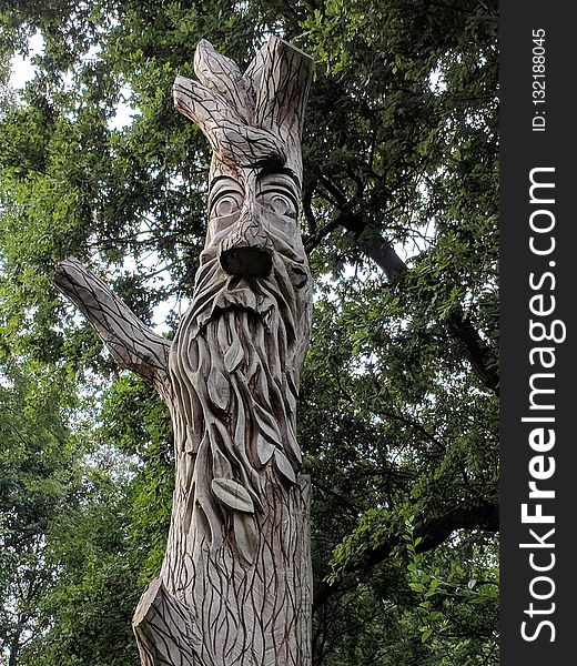 Tree, Woody Plant, Sculpture, Trunk