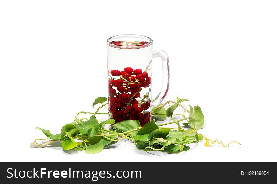 Flower, Flora, Flowerpot, Cup