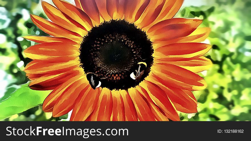 Flower, Nectar, Sunflower, Pollen
