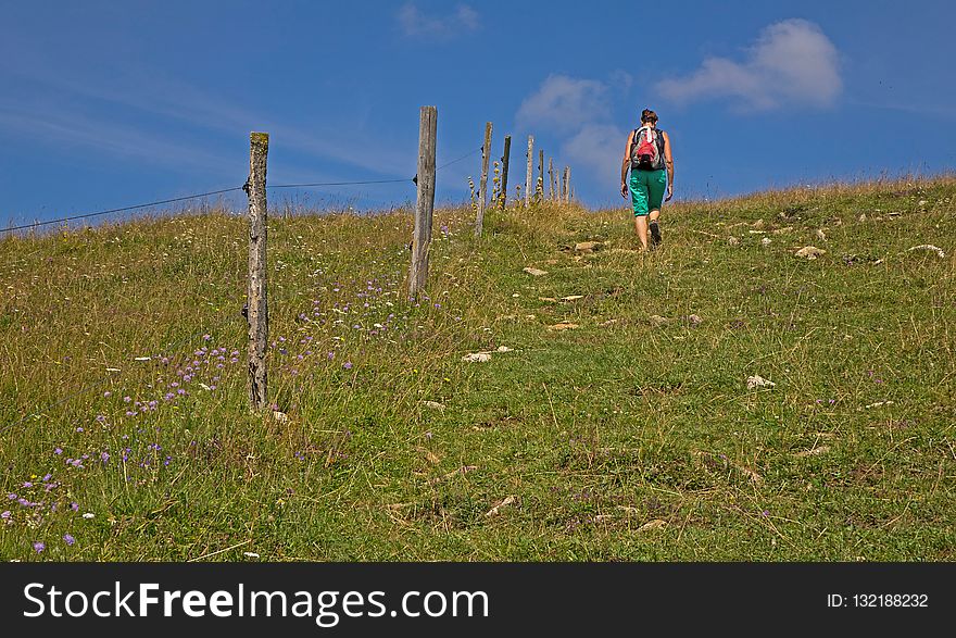 Grassland, Ecosystem, Sky, Grass