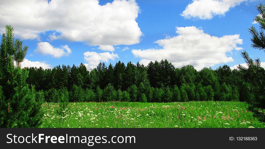 Sky, Vegetation, Grassland, Ecosystem