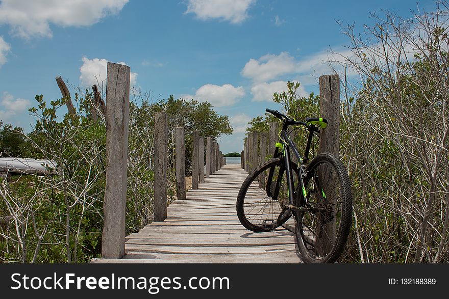 Land Vehicle, Bicycle, Road Bicycle, Path