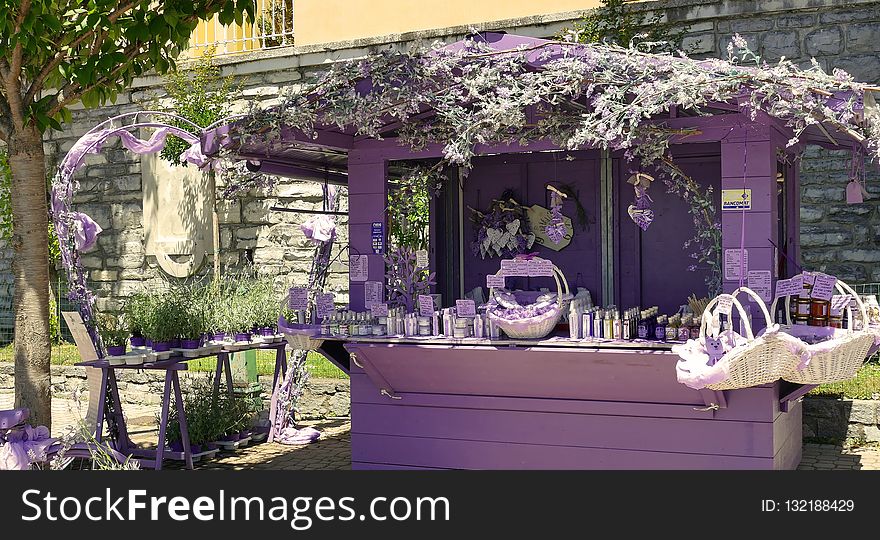 Purple, Flower, Outdoor Structure, Floristry