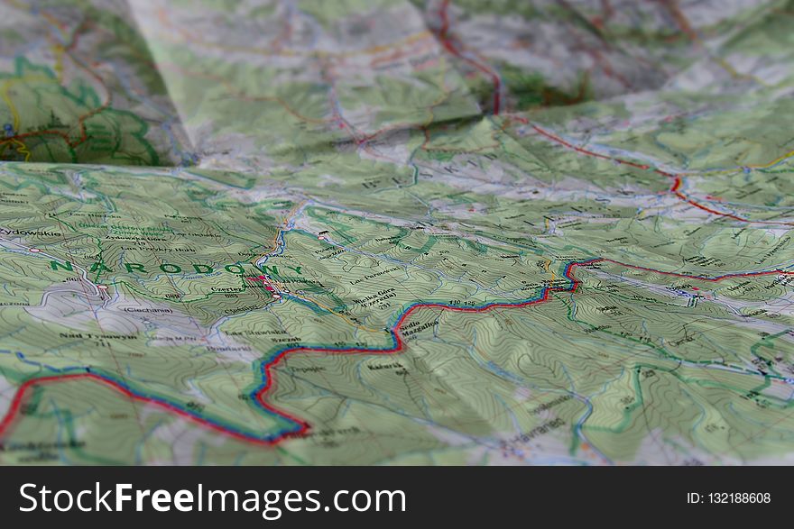 Map, Tree, Aerial Photography, Water