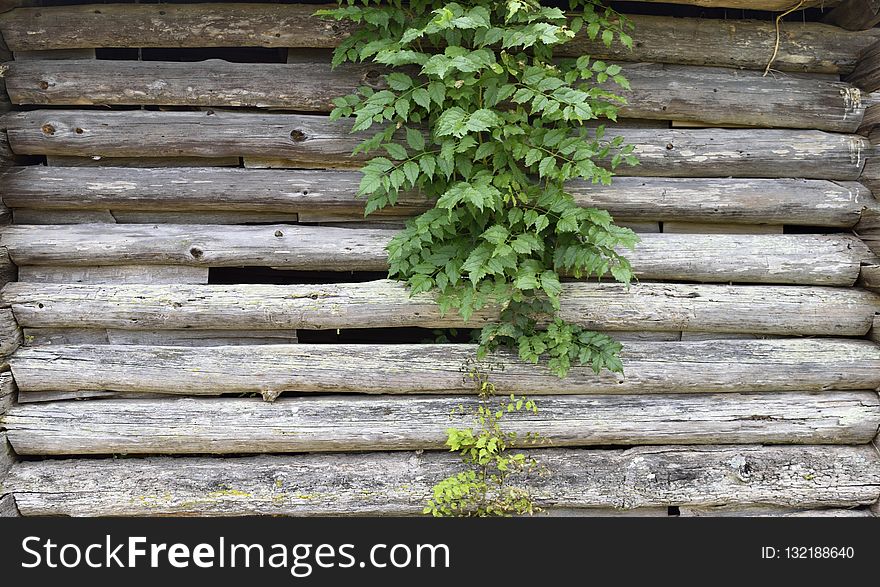 Wall, Wood, Grass, Outdoor Structure