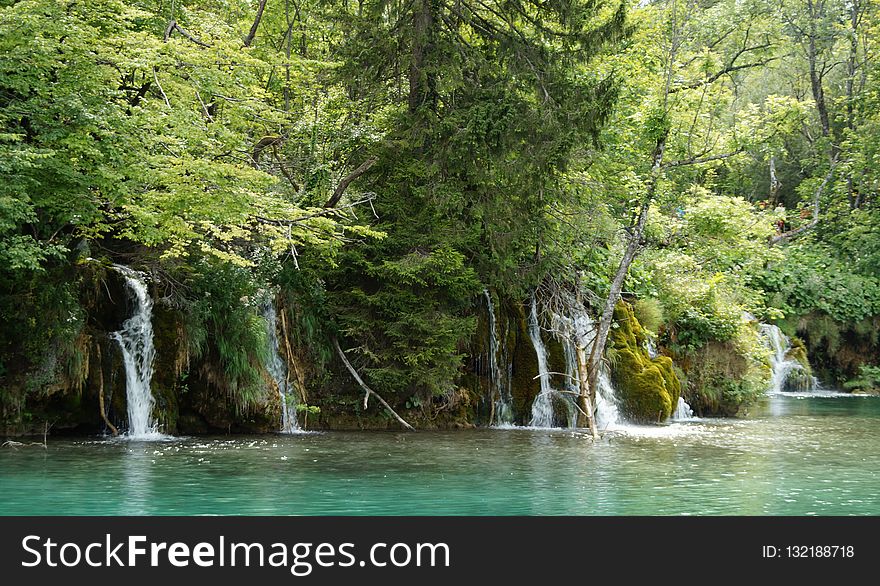 Waterfall, Vegetation, Nature, Nature Reserve