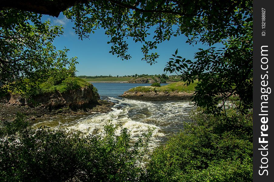 Nature, Nature Reserve, Water, Vegetation