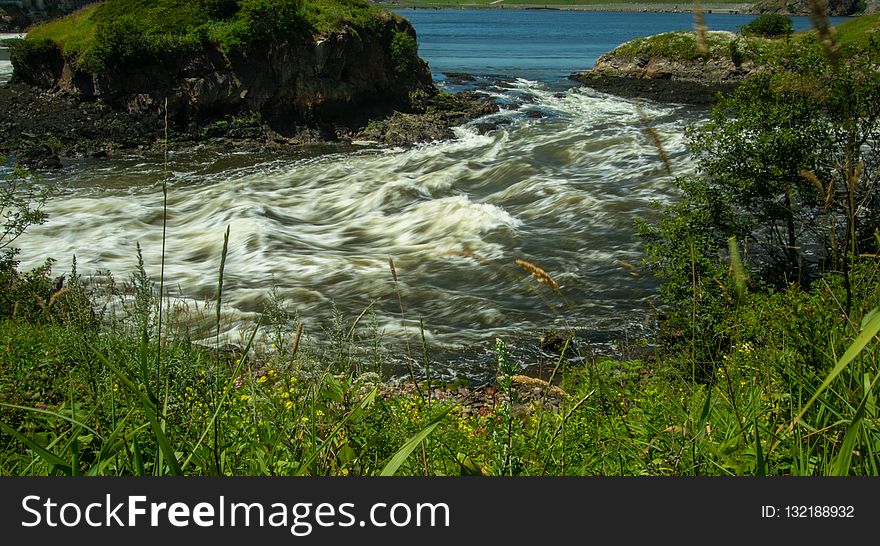 Body Of Water, Water, Nature Reserve, Vegetation