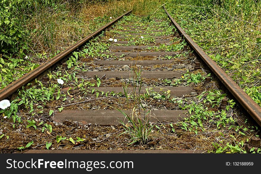 Track, Path, Grass, Soil