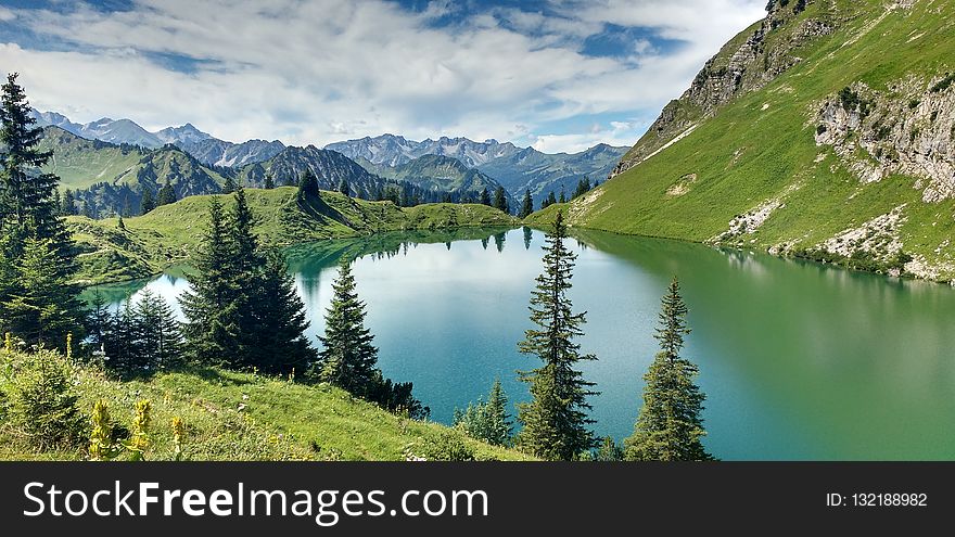 Nature, Wilderness, Nature Reserve, Mount Scenery