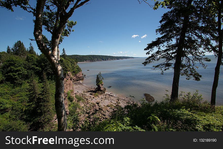 Nature Reserve, Vegetation, Wilderness, Sky