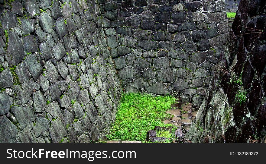 Rock, Vegetation, Tree, Grass