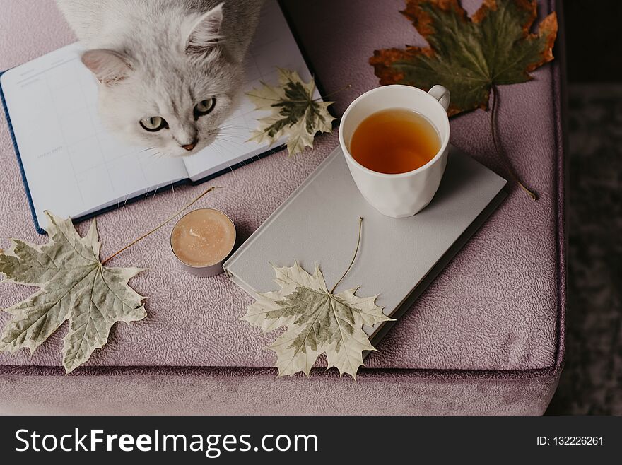 Cup Of Tea With A Book In The Interior With Autumn Leaf, Notebook And Cat, Hygge Concept