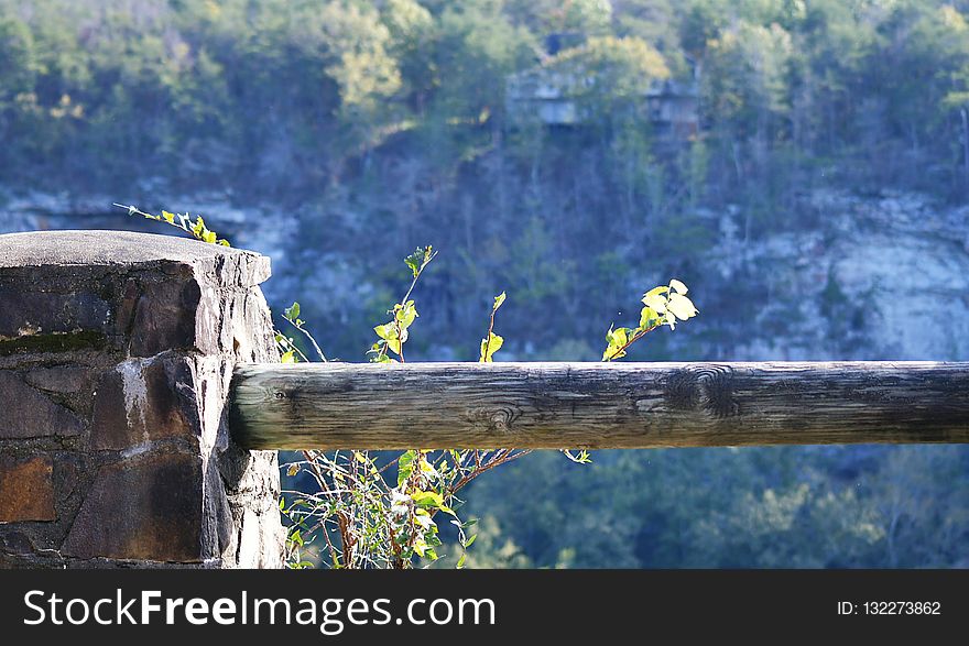 Water, Nature, Tree, Nature Reserve