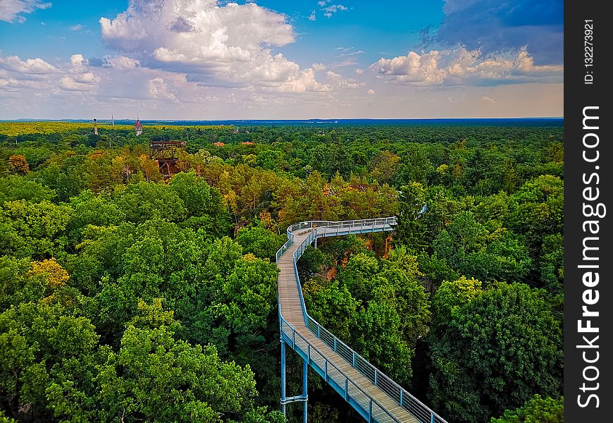 Nature, Sky, Leaf, Vegetation