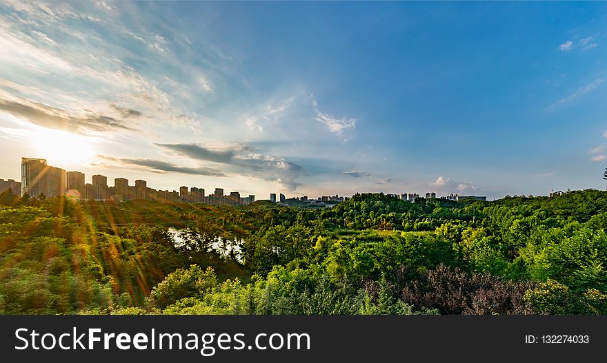 Sky, Nature, Vegetation, Cloud