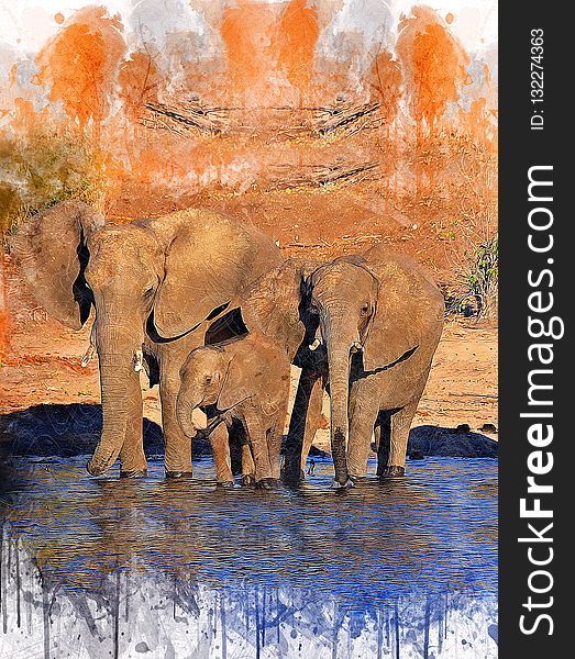 Elephants And Mammoths, Mammal, Elephant, Reflection