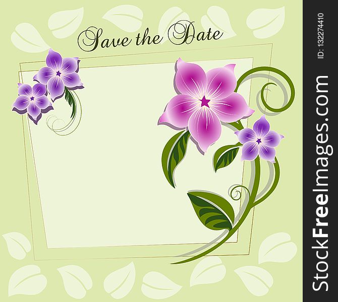 Flower, Flowering Plant, Flora, Purple