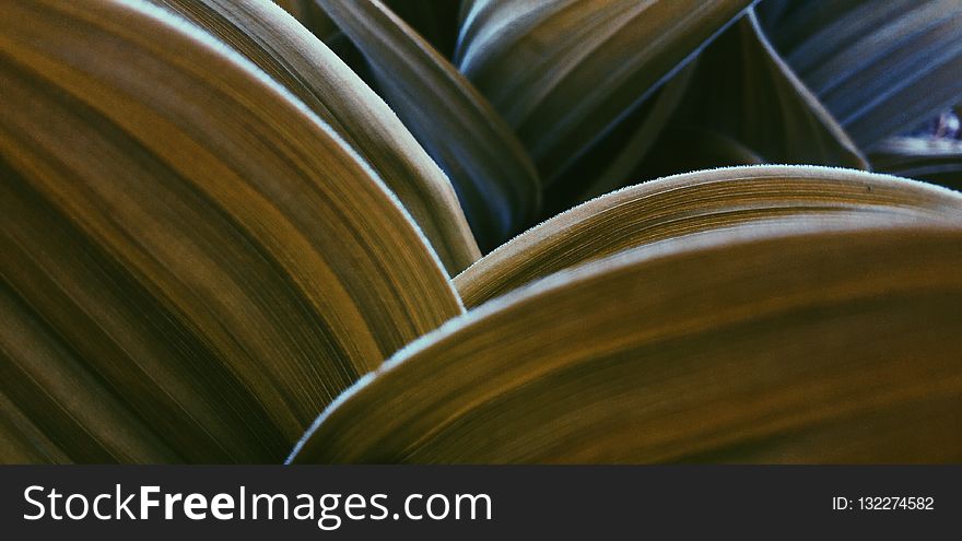 Close Up, Metal, Material, Macro Photography