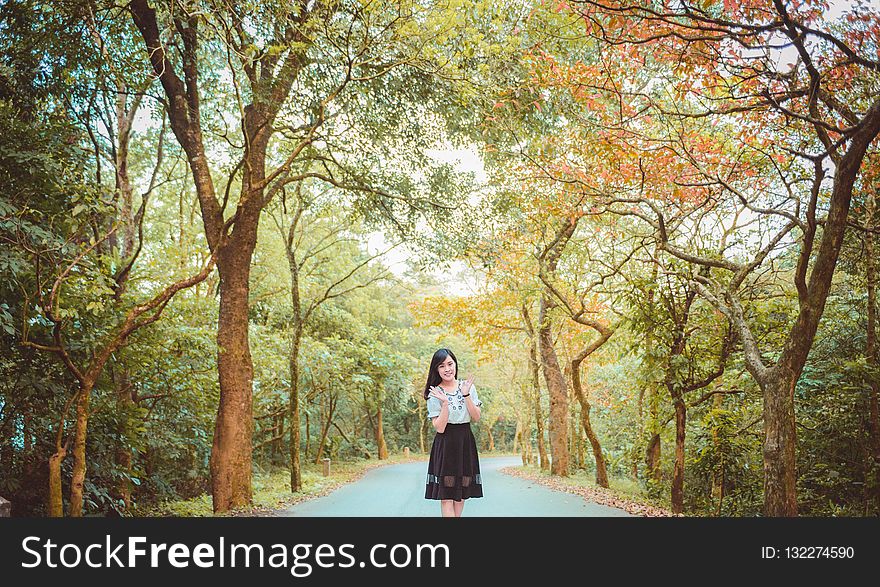 Photograph, Nature, Tree, Path