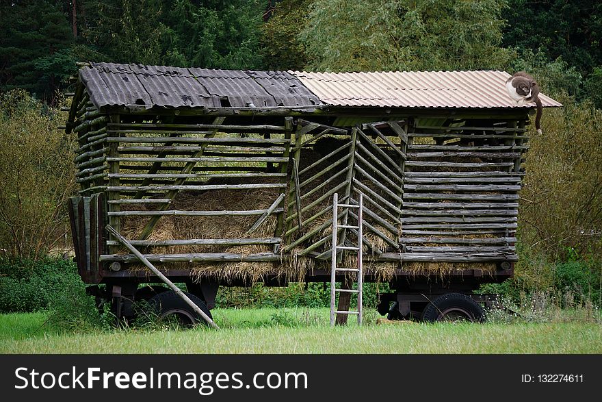 Shack, Rural Area, Grass, Log Cabin