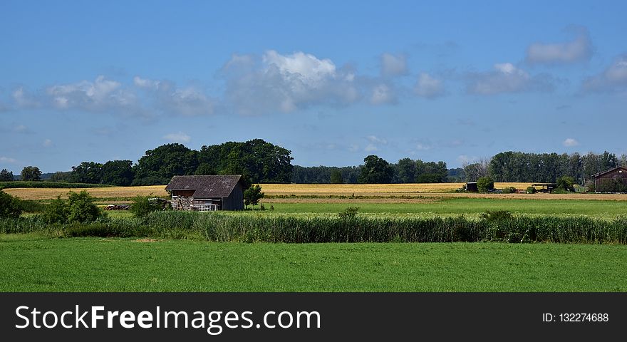 Grassland, Field, Pasture, Sky