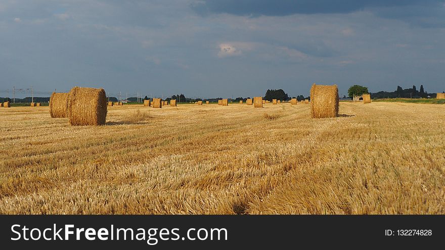Hay, Field, Straw, Agriculture