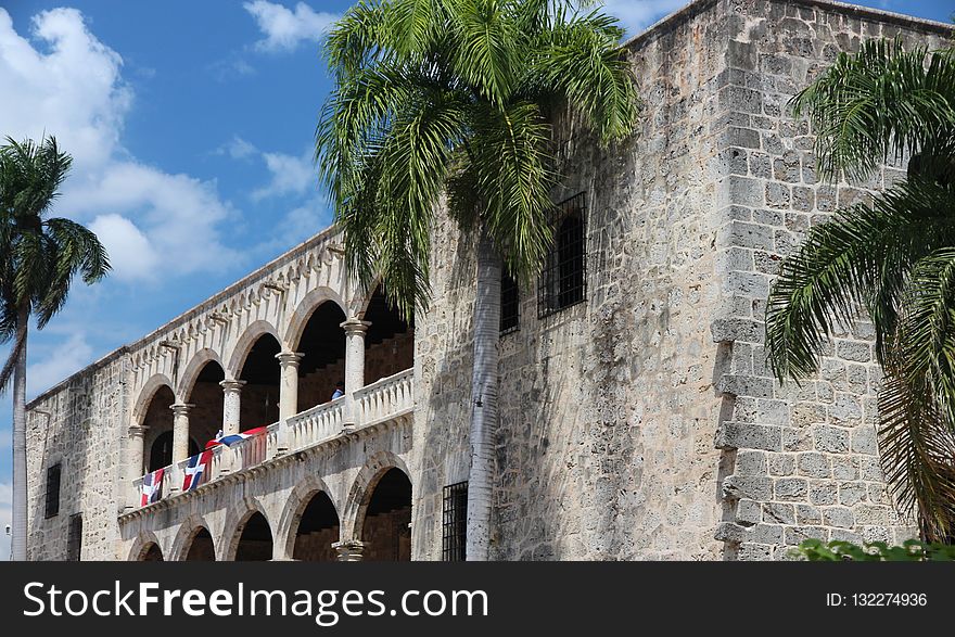 Arecales, Palm Tree, Historic Site, Building