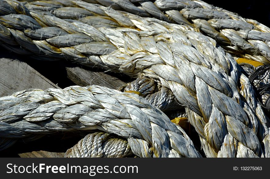 Rope, Close Up, Beak