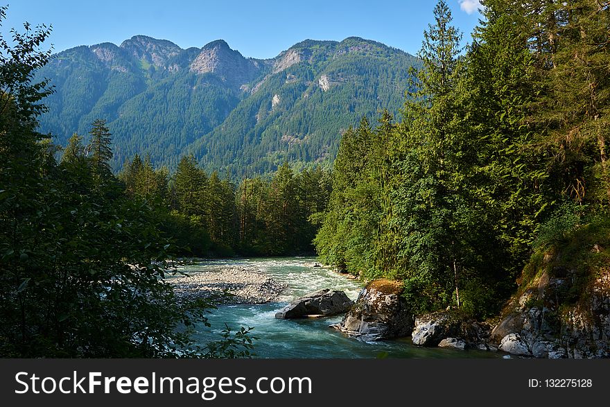 Water, Nature, River, Wilderness