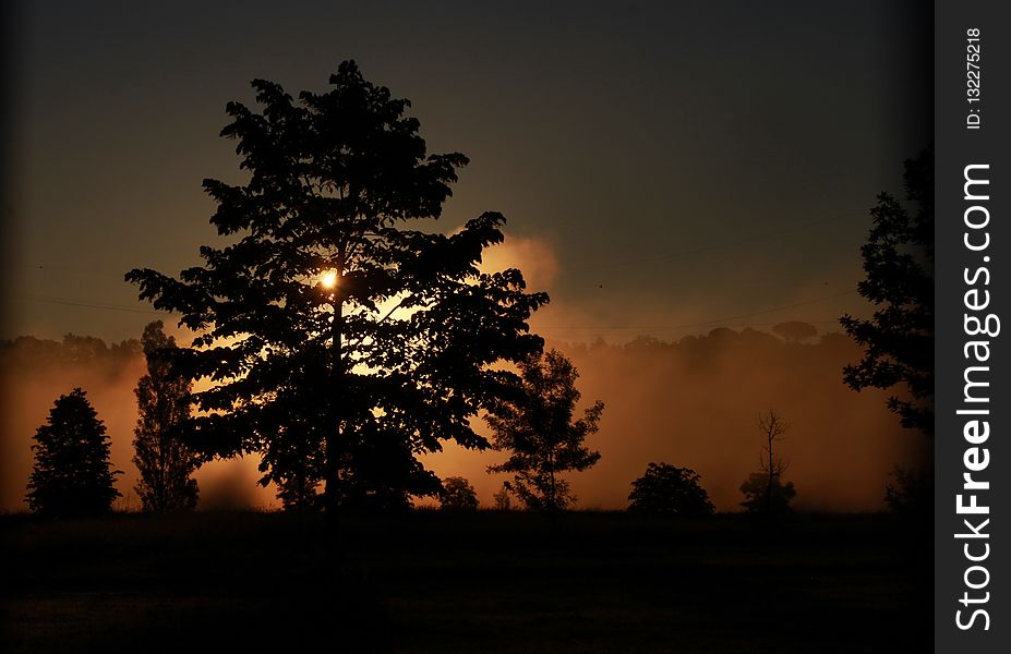 Sky, Nature, Tree, Atmosphere