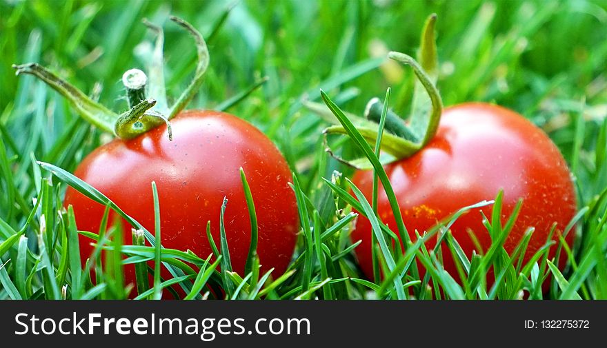 Natural Foods, Local Food, Fruit, Grass