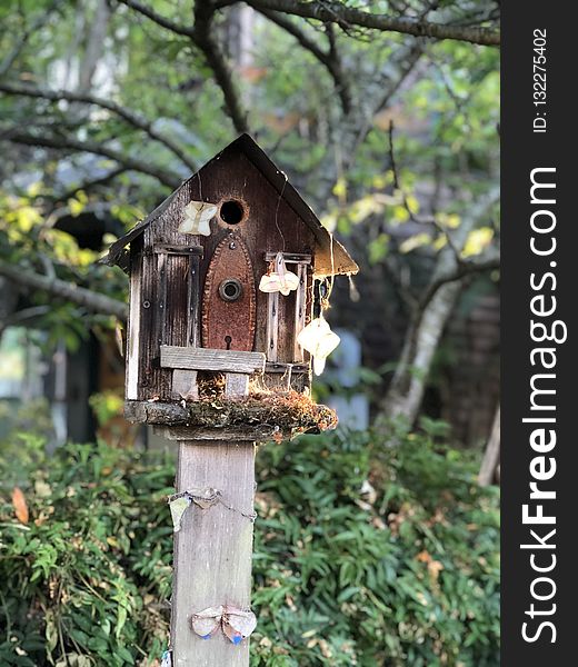 Bird Feeder, Tree, House, Wood